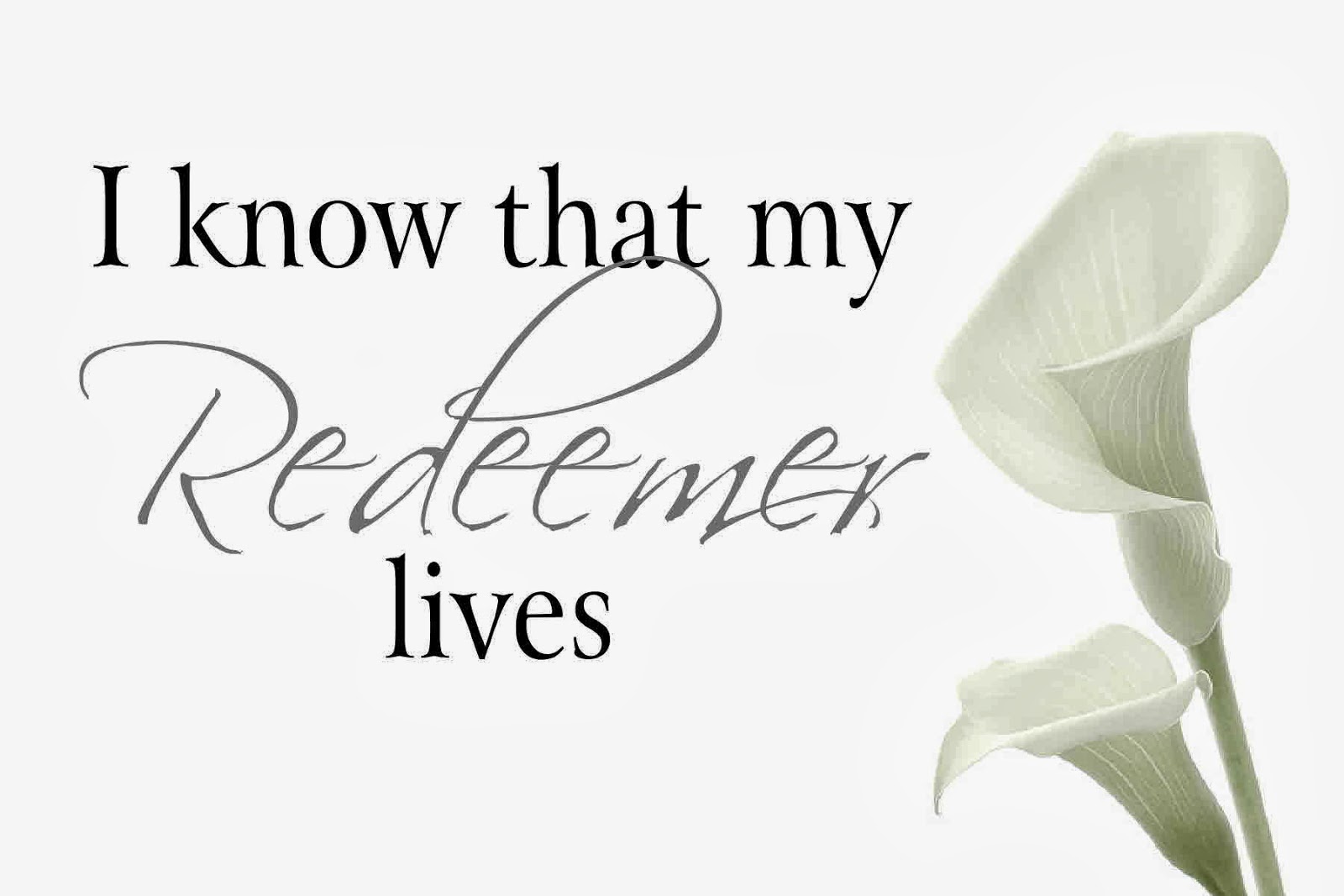 Reformed Commentary on Job: Chapter 19 – Orthodox Christian Theology